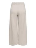 JDYGEGGO LIFE NEW ANCLE PANTS JRS NOOS chateau gray