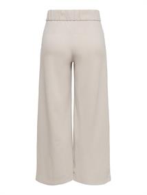 JDYGEGGO LIFE NEW ANCLE PANTS JRS NOOS chateau gray