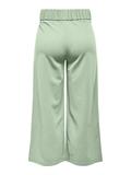 JDYGEGGO LIFE NEW ANCLE PANTS JRS NOOS smoke green