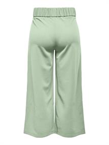 JDYGEGGO LIFE NEW ANCLE PANTS JRS NOOS smoke green
