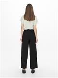 JDYGEGGO LIFE NEW LONG PANT JRS NOOS black