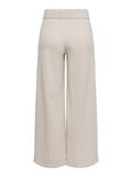 JDYGEGGO LIFE NEW LONG PANT JRS NOOS chateau gray