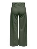 JDYGEGGO LIFE NEW LONG PANT JRS NOOS kambaba