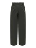 JDYGEGGO LIFE NEW LONG PANT JRS NOOS peat