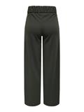 JDYGEGGO LIFE NEW LONG PANT JRS NOOS peat