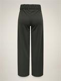 JDYGEGGO LIFE NEW LONG PANT JRS NOOS peat