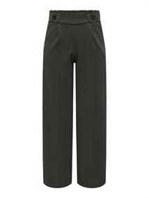 JDYGEGGO LIFE NEW LONG PANT JRS NOOS peat