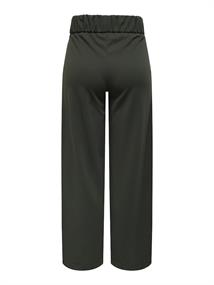 JDYGEGGO LIFE NEW LONG PANT JRS NOOS peat