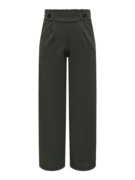JDYGEGGO LIFE NEW LONG PANT JRS NOOS peat