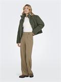JDYGEGGO LIFE NEW LONG PANT JRS NOOS sepia tint