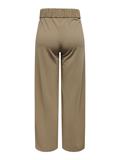 JDYGEGGO LIFE NEW LONG PANT JRS NOOS sepia tint
