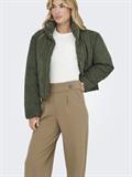 JDYGEGGO LIFE NEW LONG PANT JRS NOOS sepia tint