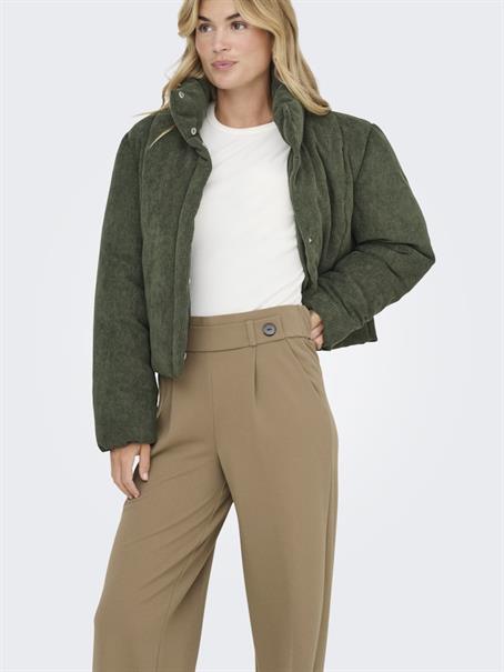 JDYGEGGO LIFE NEW LONG PANT JRS NOOS sepia tint