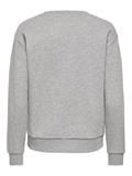 JDYJOLLY PARIS L/S SWEAT JRS DIA light grey melange