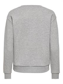 JDYJOLLY PARIS L/S SWEAT JRS DIA light grey melange