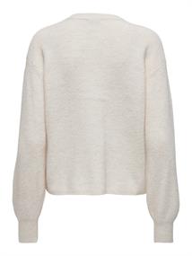 JDYLUMI LIFE L/S BUTTON CARDIGA KNT NOOS birch