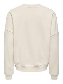 JDYMESA L/S O-NK EMB SWEAT JRS NOOS birch