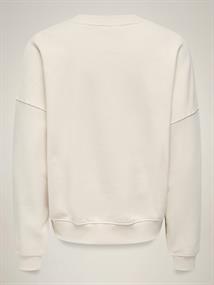 JDYMESA L/S O-NK EMB SWEAT JRS NOOS birch