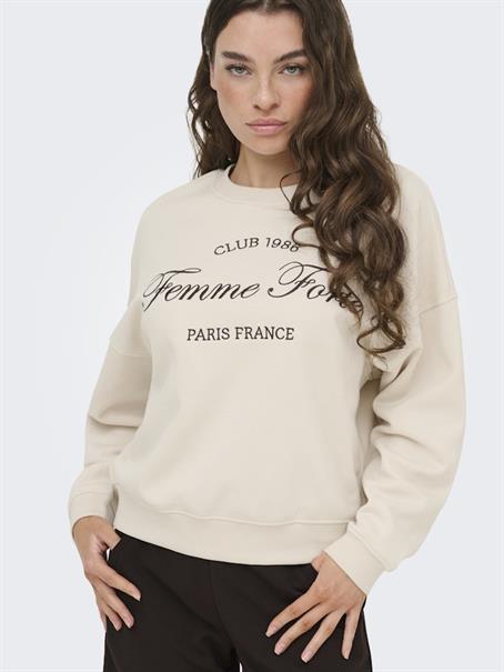 JDYMESA L/S O-NK EMB SWEAT JRS NOOS birch