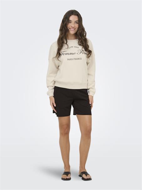 JDYMESA L/S O-NK EMB SWEAT JRS NOOS birch