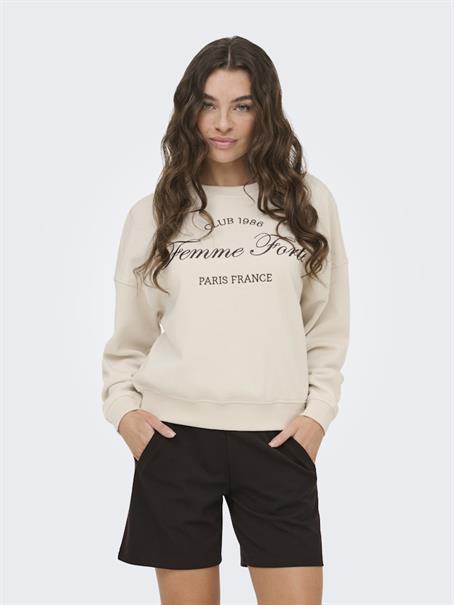 JDYMESA L/S O-NK EMB SWEAT JRS NOOS birch