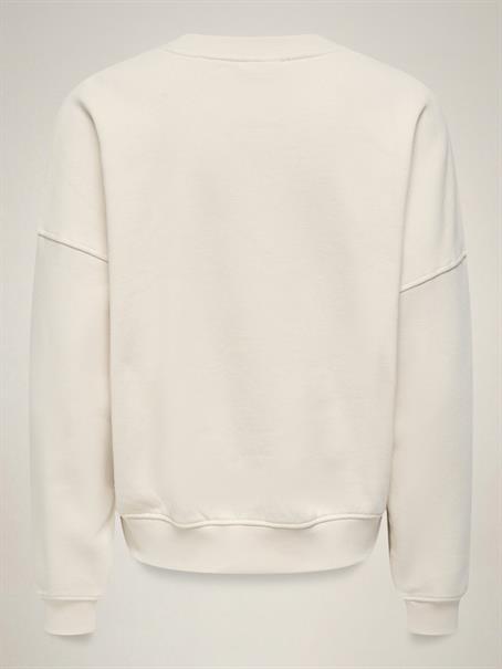 JDYMESA L/S O-NK EMB SWEAT JRS NOOS birch