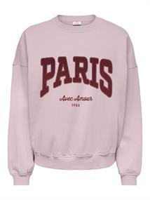 JDYMESA L/S O-NK EMB SWEAT JRS NOOS chalk pink