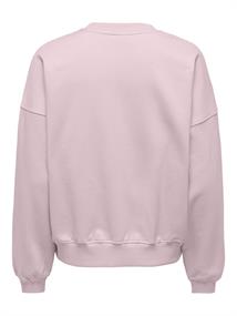 JDYMESA L/S O-NK EMB SWEAT JRS NOOS chalk pink