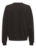 JDYMESA L/S O-NK EMB SWEAT JRS NOOS ganache