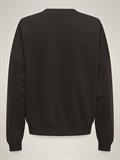 JDYMESA L/S O-NK EMB SWEAT JRS NOOS ganache