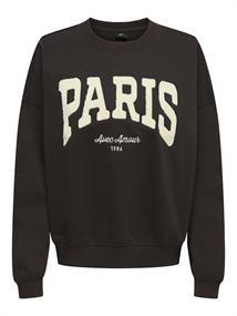 JDYMESA L/S O-NK EMB SWEAT JRS NOOS ganache