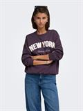 JDYMESA L/S O-NK EMB SWEAT JRS NOOS plum perfect