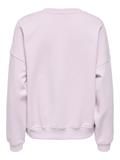 JDYMESA L/S O-NK EMB SWEAT JRS NOOS winsome orchid
