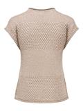 JDYMIA S/S O-NECK SEQUIN PULLOVER KNT plaza taupe