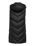 JDYSKYLAR LIFE HOOD WAISTCOAT OTW NOOS black