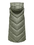 JDYSKYLAR LIFE HOOD WAISTCOAT OTW NOOS vetiver