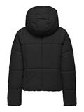 JDYWONDER SHORT HOOD PUFFER OTW SIJ black