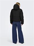 JDYWONDER SHORT HOOD PUFFER OTW SIJ black