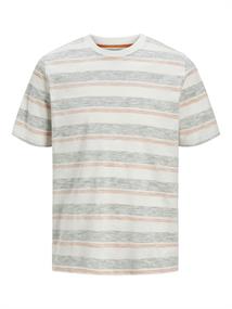 JJBIRK STRIPED TEE SS CREW NECK iceberg green
