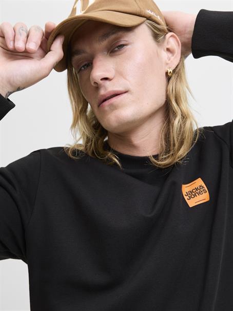 JJBRANDY SWEAT CREW NECK LN black