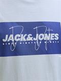 JJCOLE PRINT TEE SS CREW NECK LN celestial blue