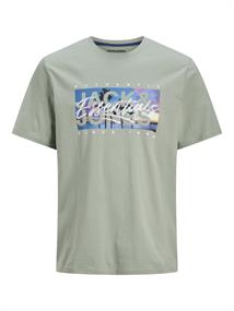JJCOLTON PHOTOPRINT TEE SS CREW NECK iceberg green