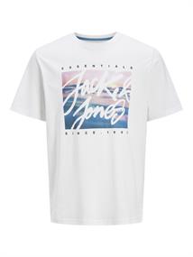 JJCOLTON PHOTOPRINT TEE SS CREW NECK white
