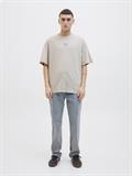 JJEAMES TEE SS CREW NECK moonbeam