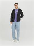 JJEBASIC SOFTSHELL HOOD NOOS black
