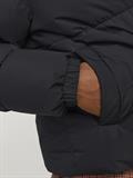 JJEBRADLEY PUFFER HOOD SN black