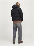 JJEBRADLEY PUFFER HOOD SN black