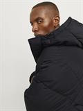 JJEBRADLEY PUFFER HOOD SN black