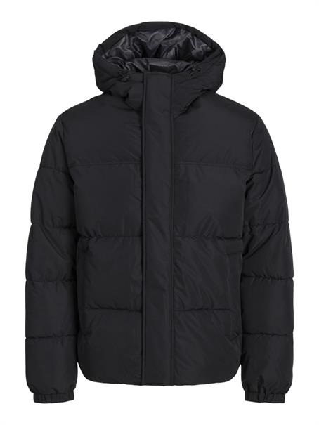 JJEBRADLEY PUFFER HOOD SN black