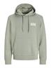 JJECORP LOGO SWEAT HOOD NOOS iceberg green
